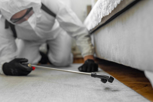 Professional Bed Bug Control technician working in Belding, MI
